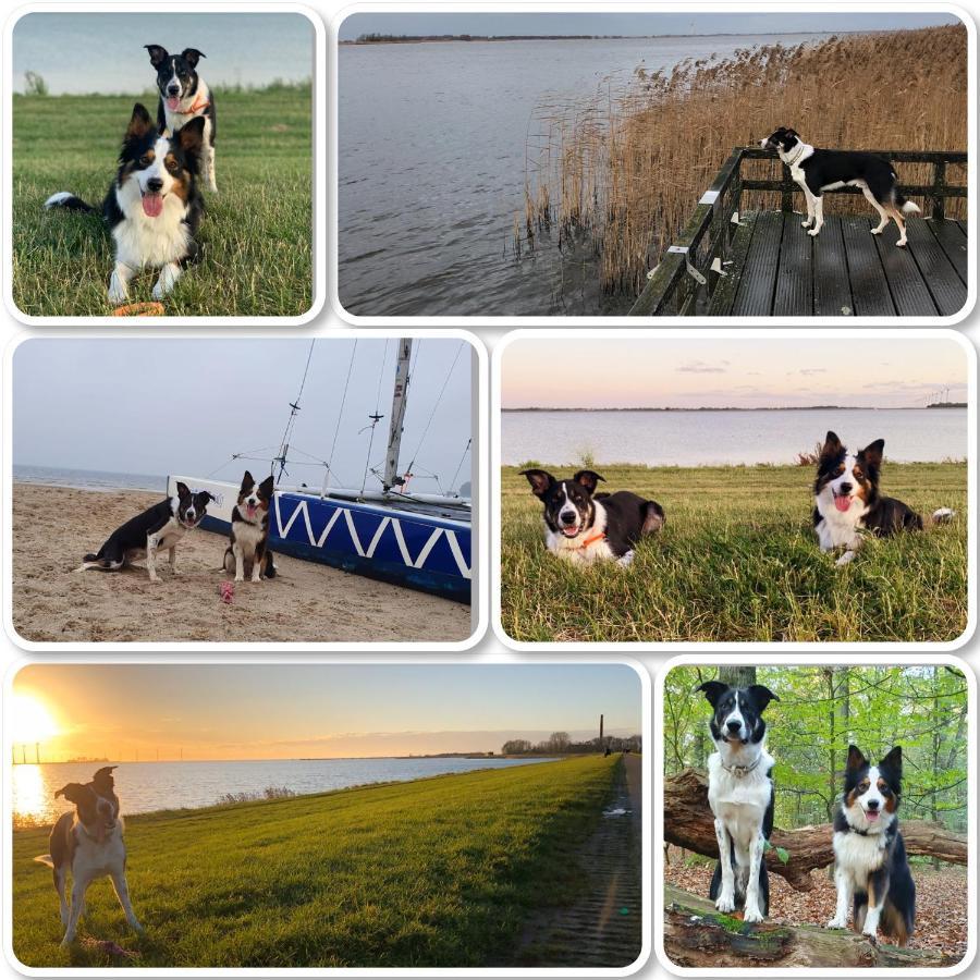 Riverside-Lemmer Exteriör bild